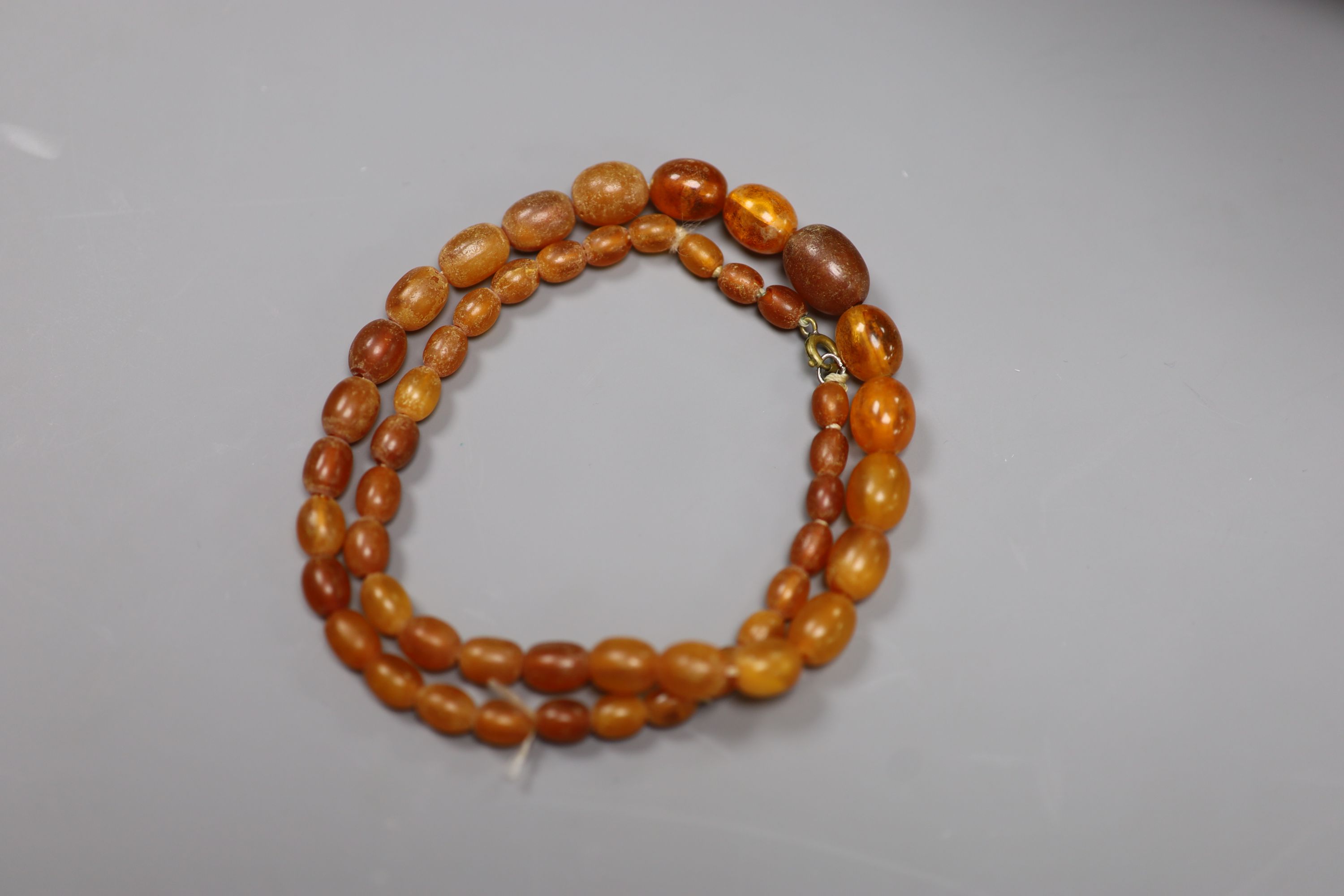 A single strand graduated oval amber bead necklace, 48cm, gross weight 17 grams.